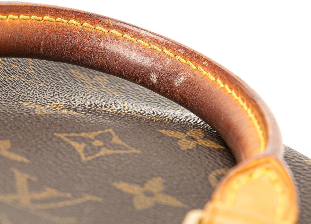 Louis Vuitton Monogram Speedy 25 Bruin