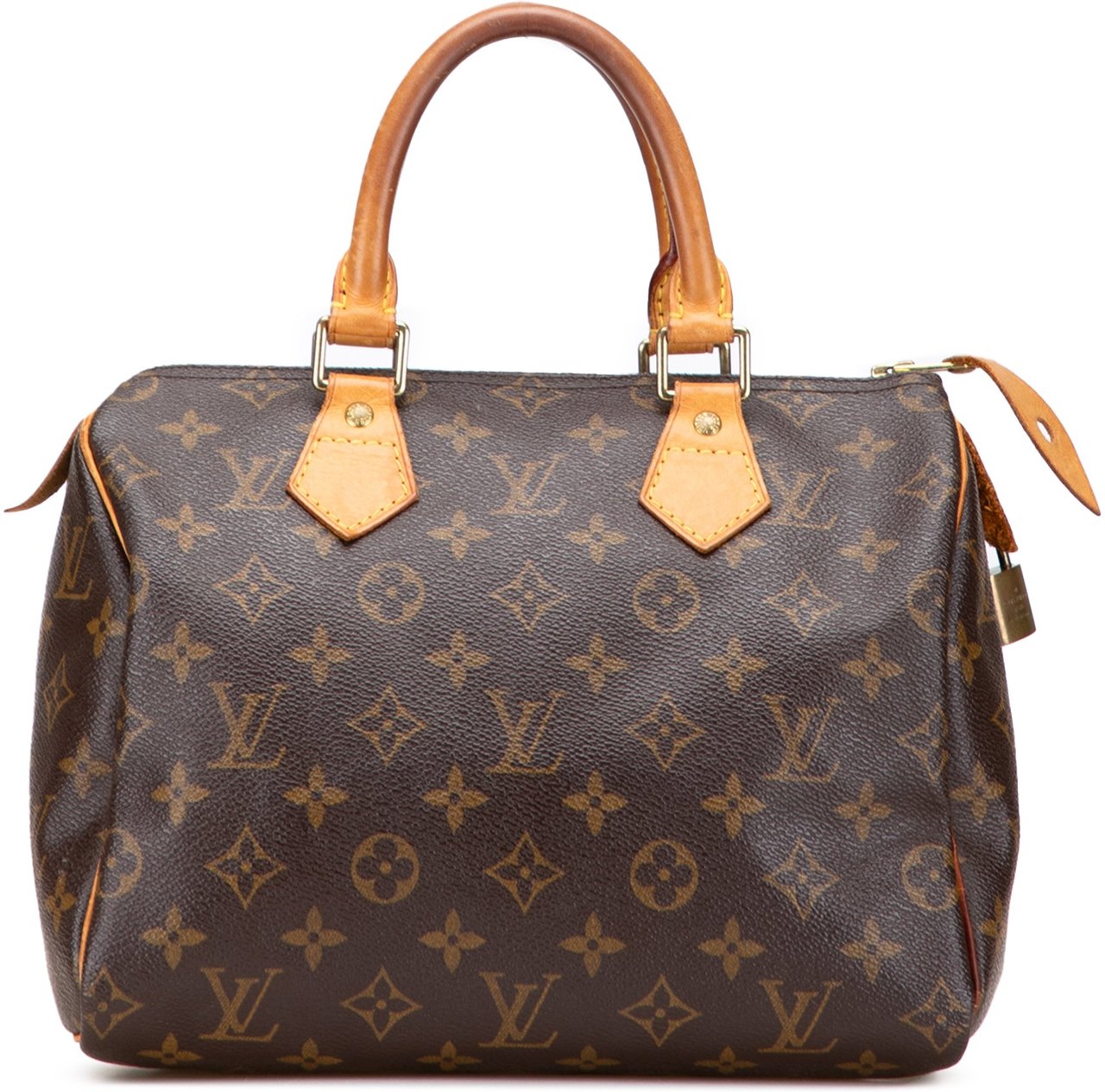 Louis Vuitton Monogram Speedy 25 Bruin