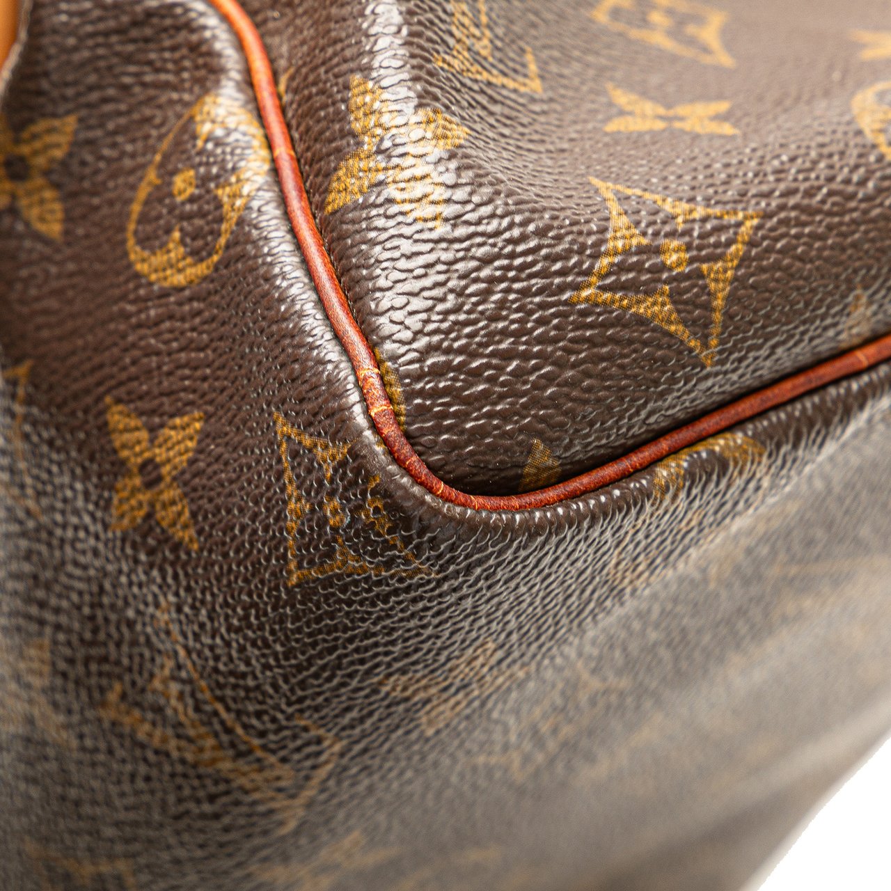 Louis Vuitton Monogram Speedy 25 Bruin