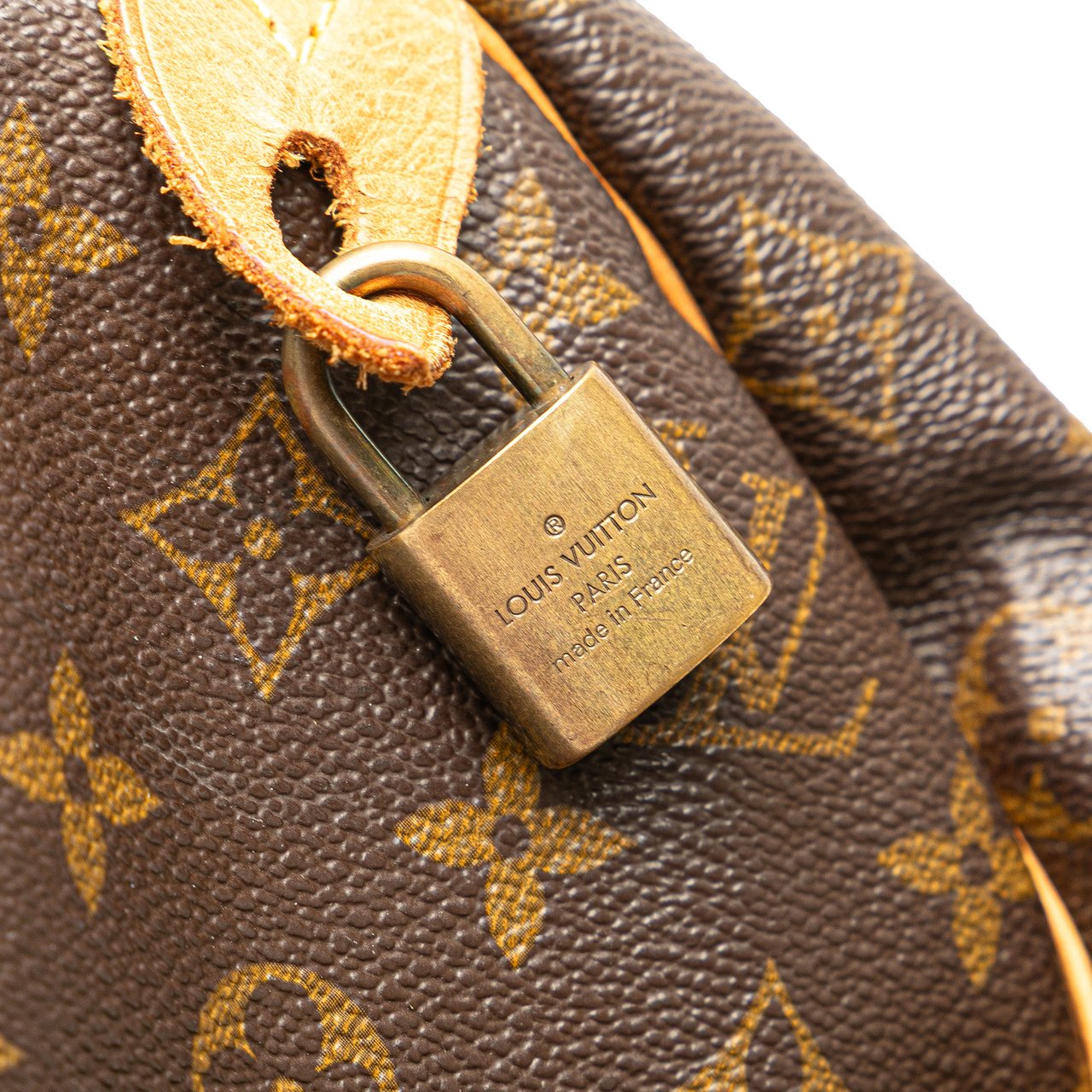 Louis Vuitton Monogram Speedy 25 Bruin