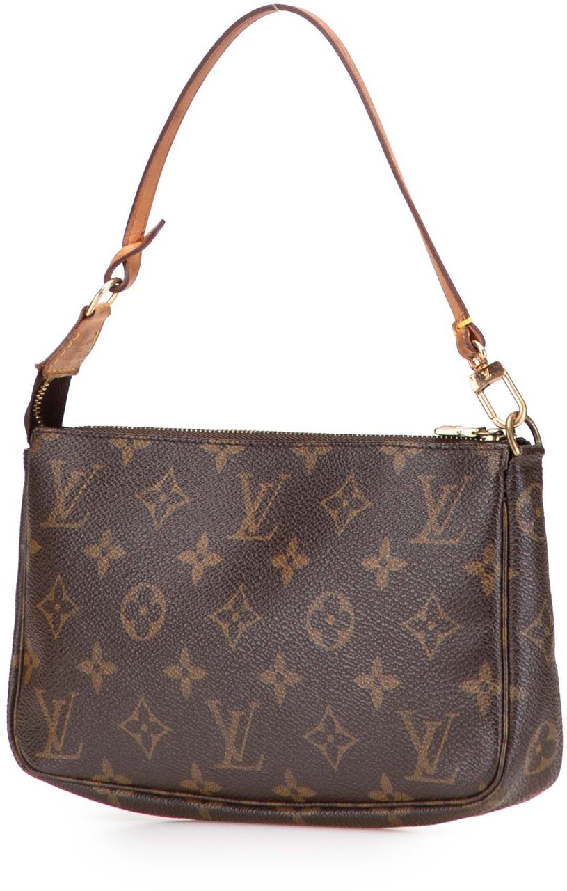 Louis Vuitton Monogram Pochette Accessoires Bruin