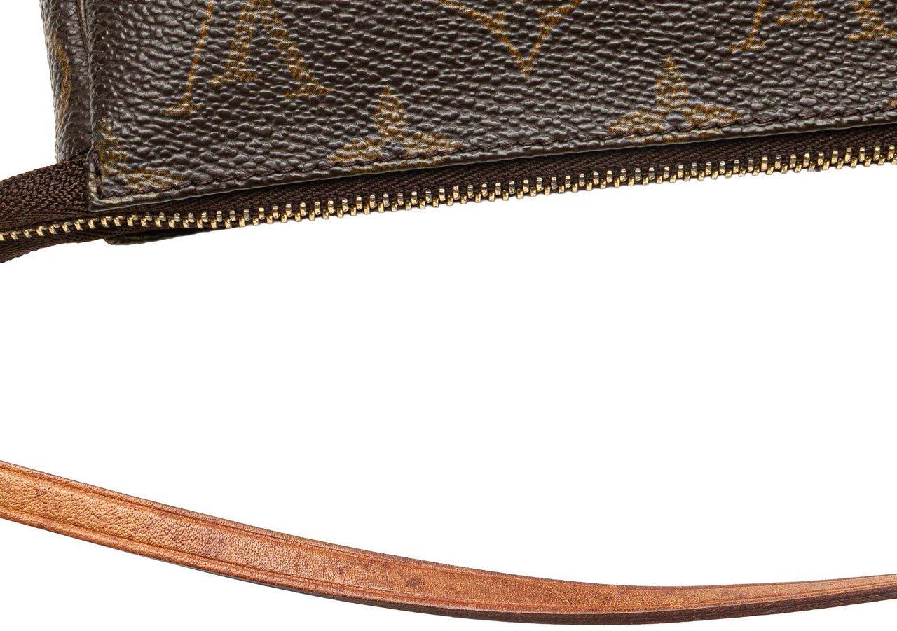 Louis Vuitton Monogram Pochette Accessoires Bruin