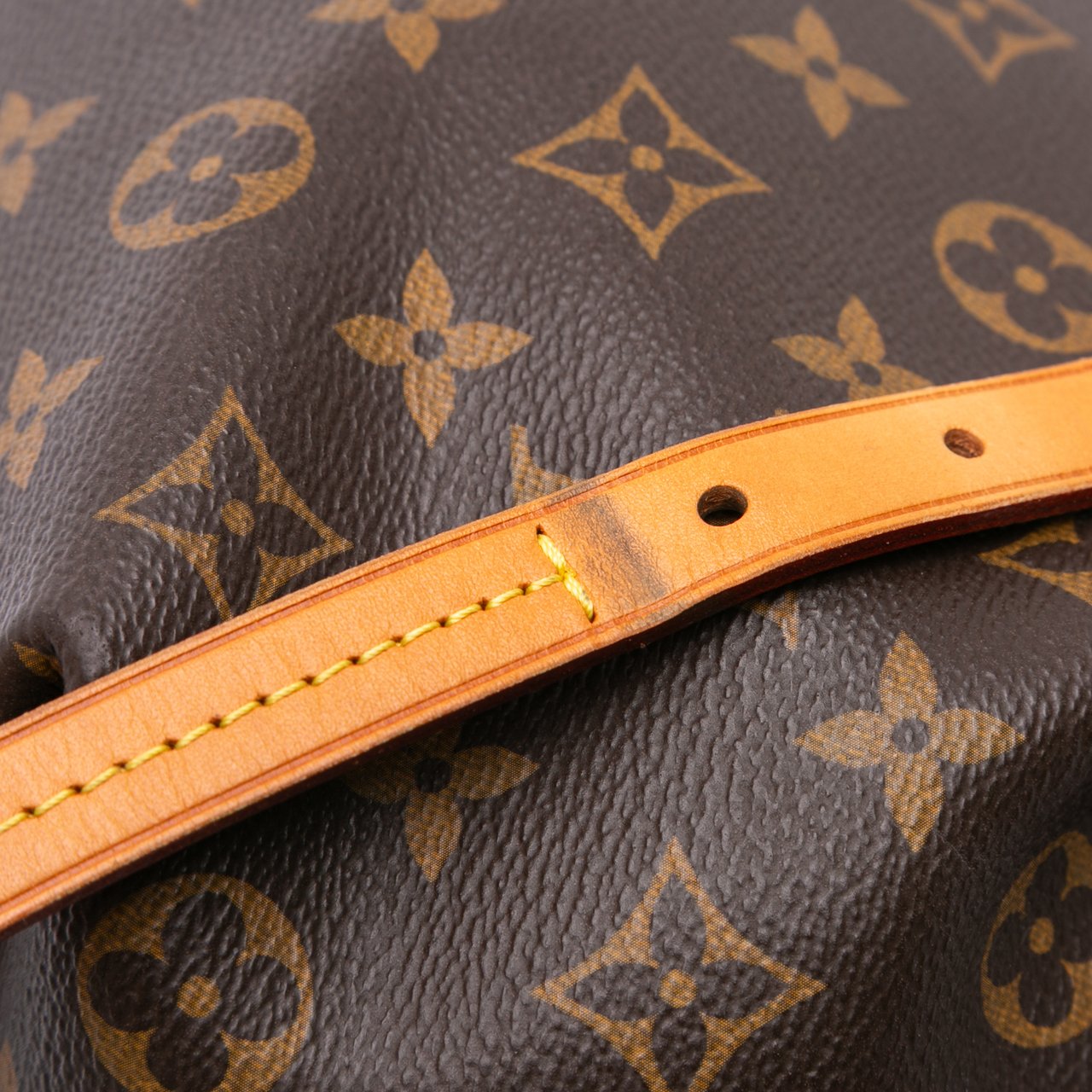 Louis Vuitton Monogram Turenne PM Bruin