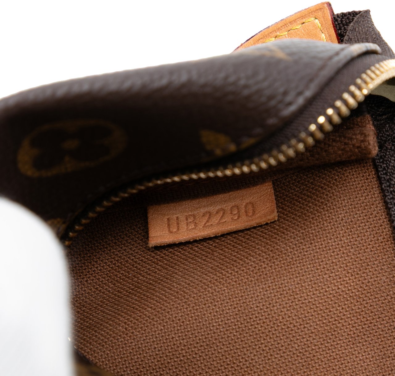 Louis Vuitton Monogram Mini Pochette Accessoires Bruin