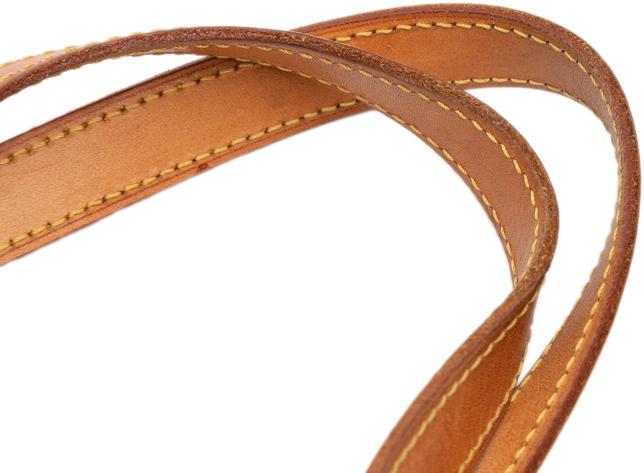 Louis Vuitton Monogram Vavin GM Bruin