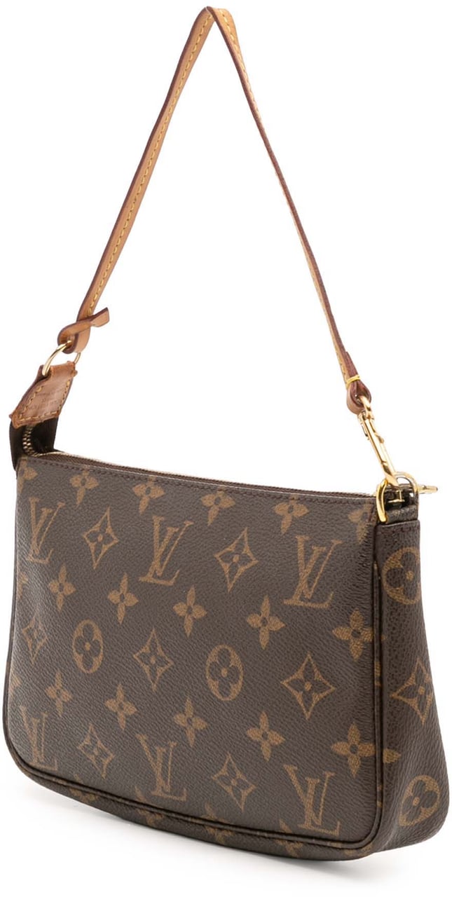 Louis Vuitton Monogram Pochette Accessoires Bruin