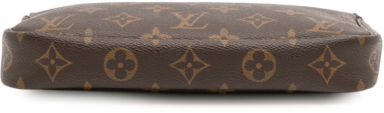 Louis Vuitton Monogram Pochette Accessoires Bruin