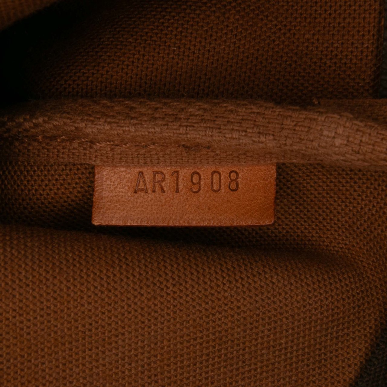 Louis Vuitton Monogram Pochette Accessoires Bruin