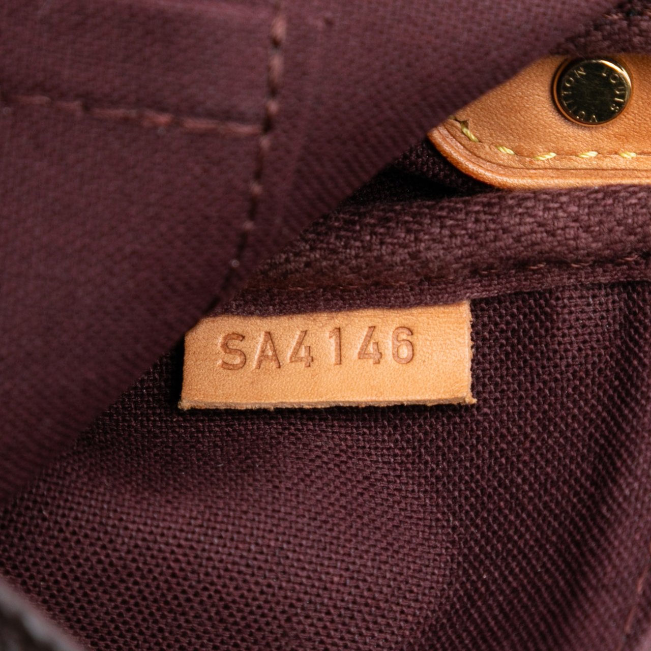 Louis Vuitton Monogram Favorite PM Bruin