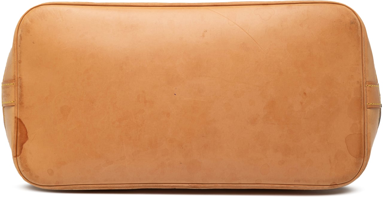 Louis Vuitton Monogram Alma PM Bruin