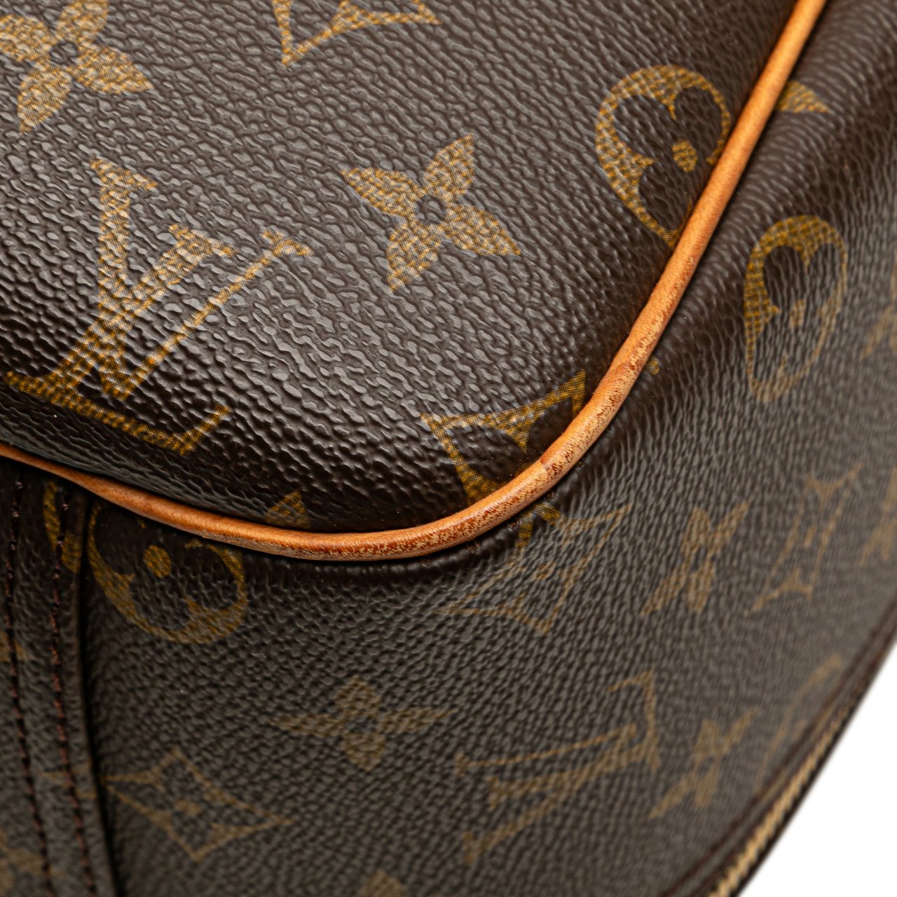 Louis Vuitton Monogram Excursion Bruin