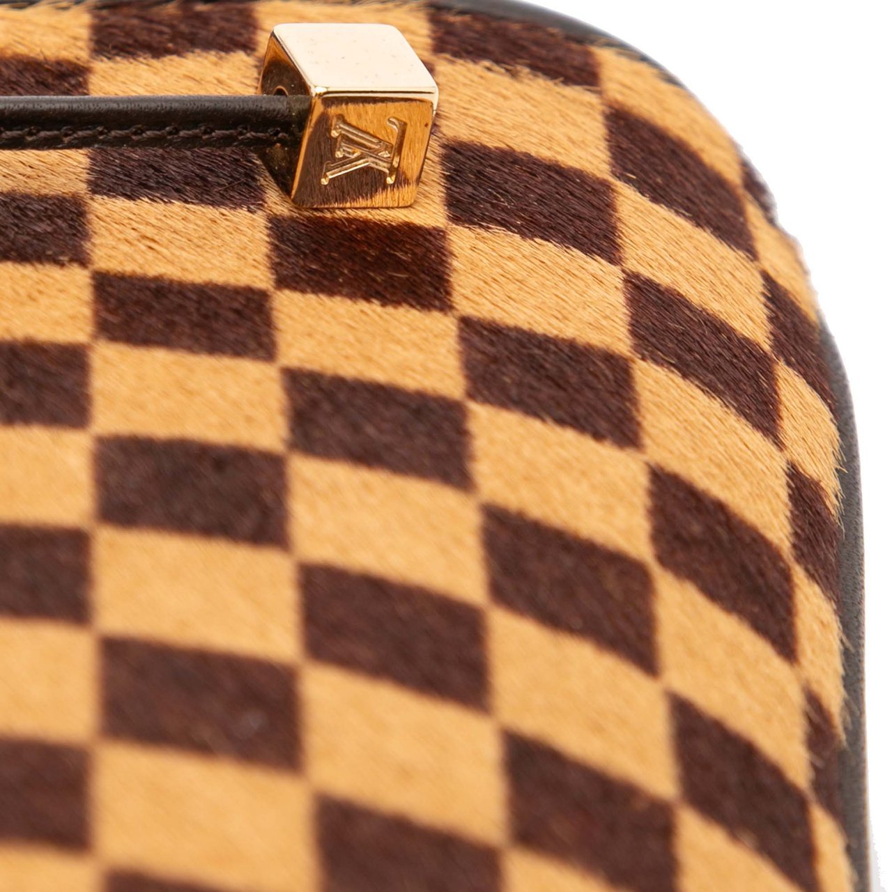 Louis Vuitton Damier Sauvage Impala Bruin