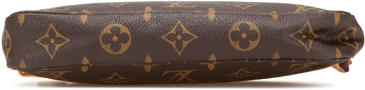 Louis Vuitton Monogram Pochette Accessoires Bruin