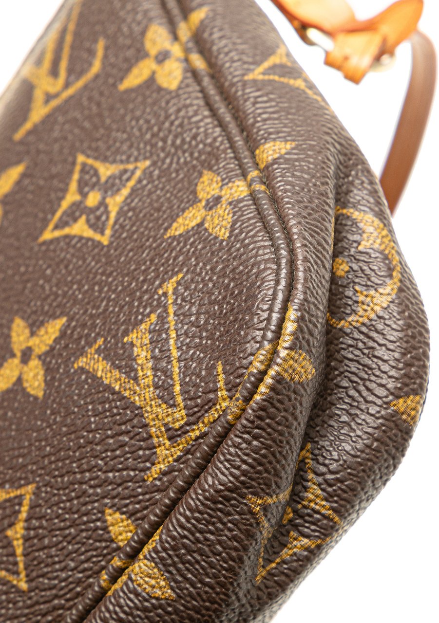 Louis Vuitton Monogram Pochette Accessoires Bruin