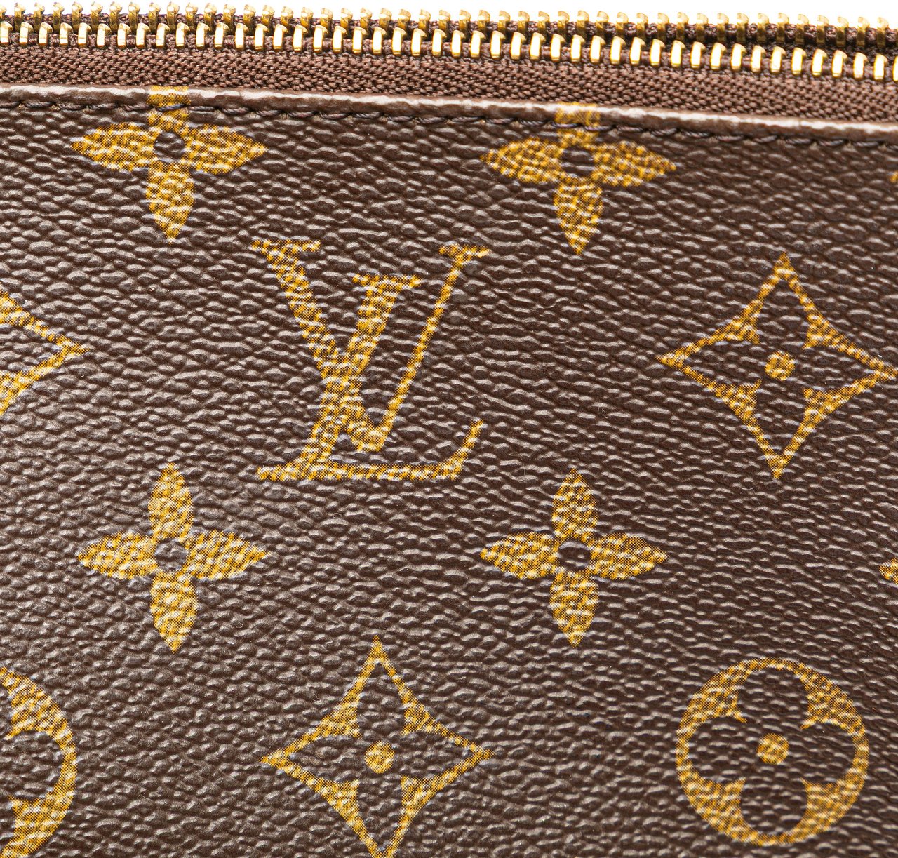 Louis Vuitton Monogram Pochette Accessoires Bruin