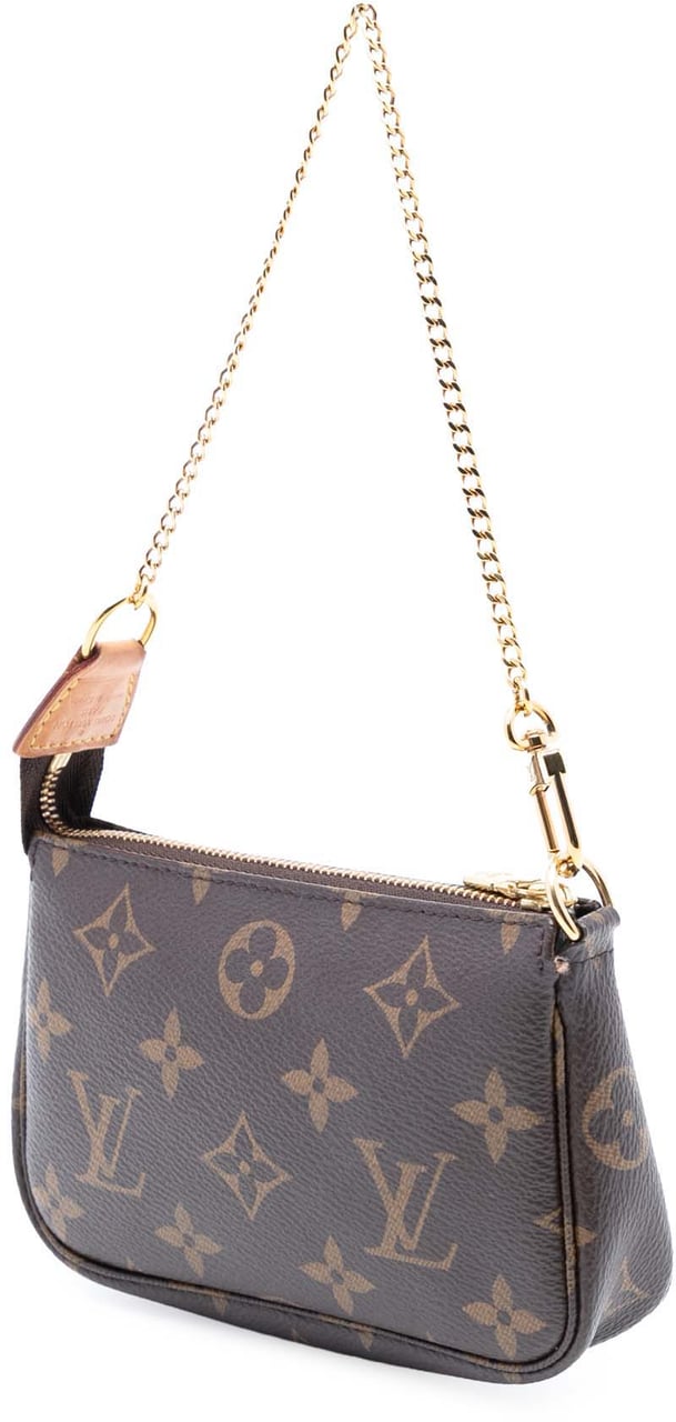 Louis Vuitton Monogram Mini Pochette Accessoires Bruin