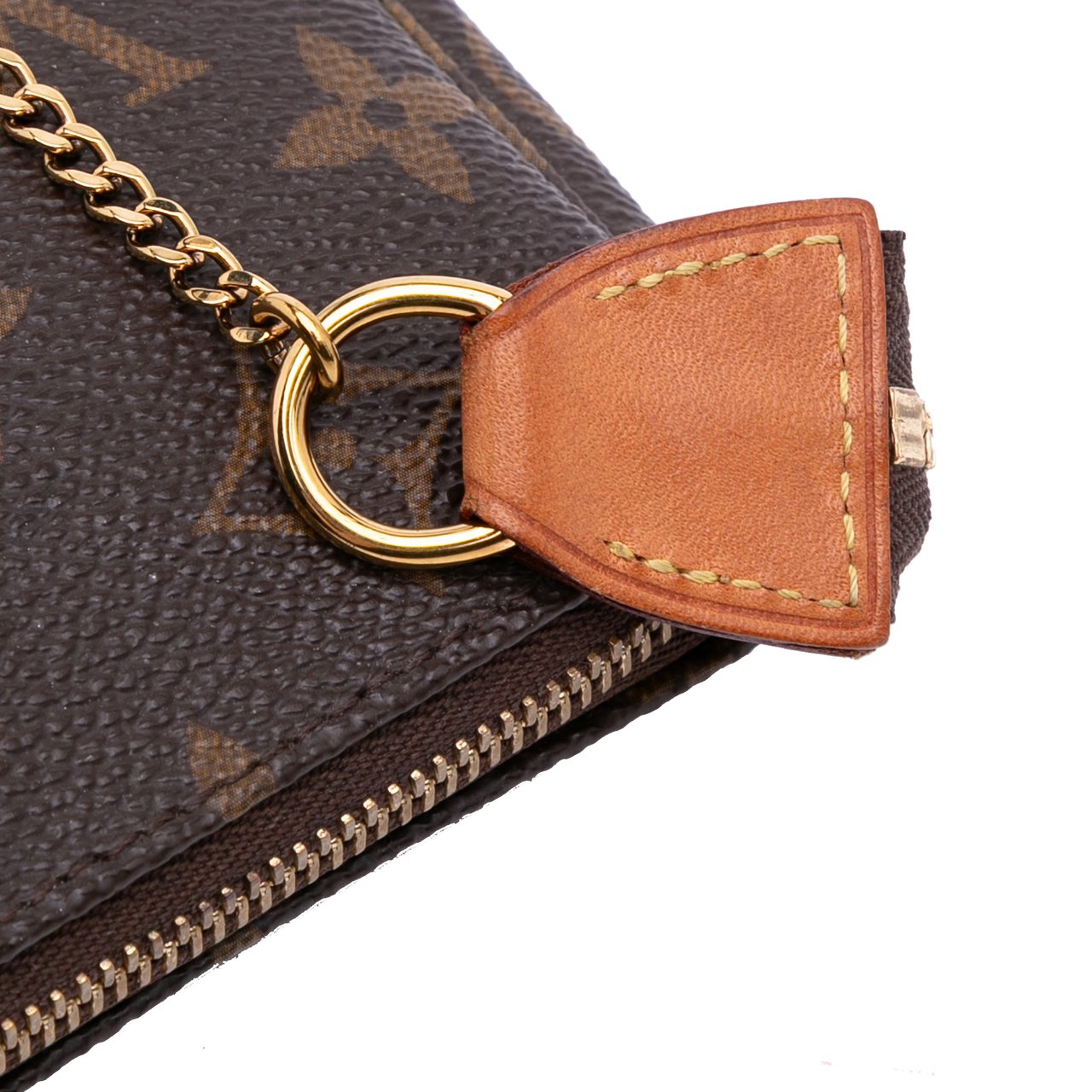 Louis Vuitton Monogram Mini Pochette Accessoires Bruin