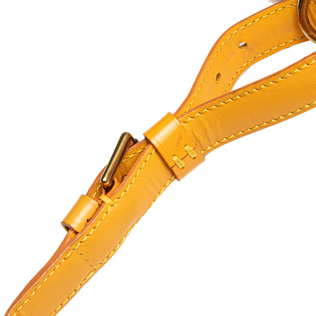 Louis Vuitton Epi Gobelins Geel