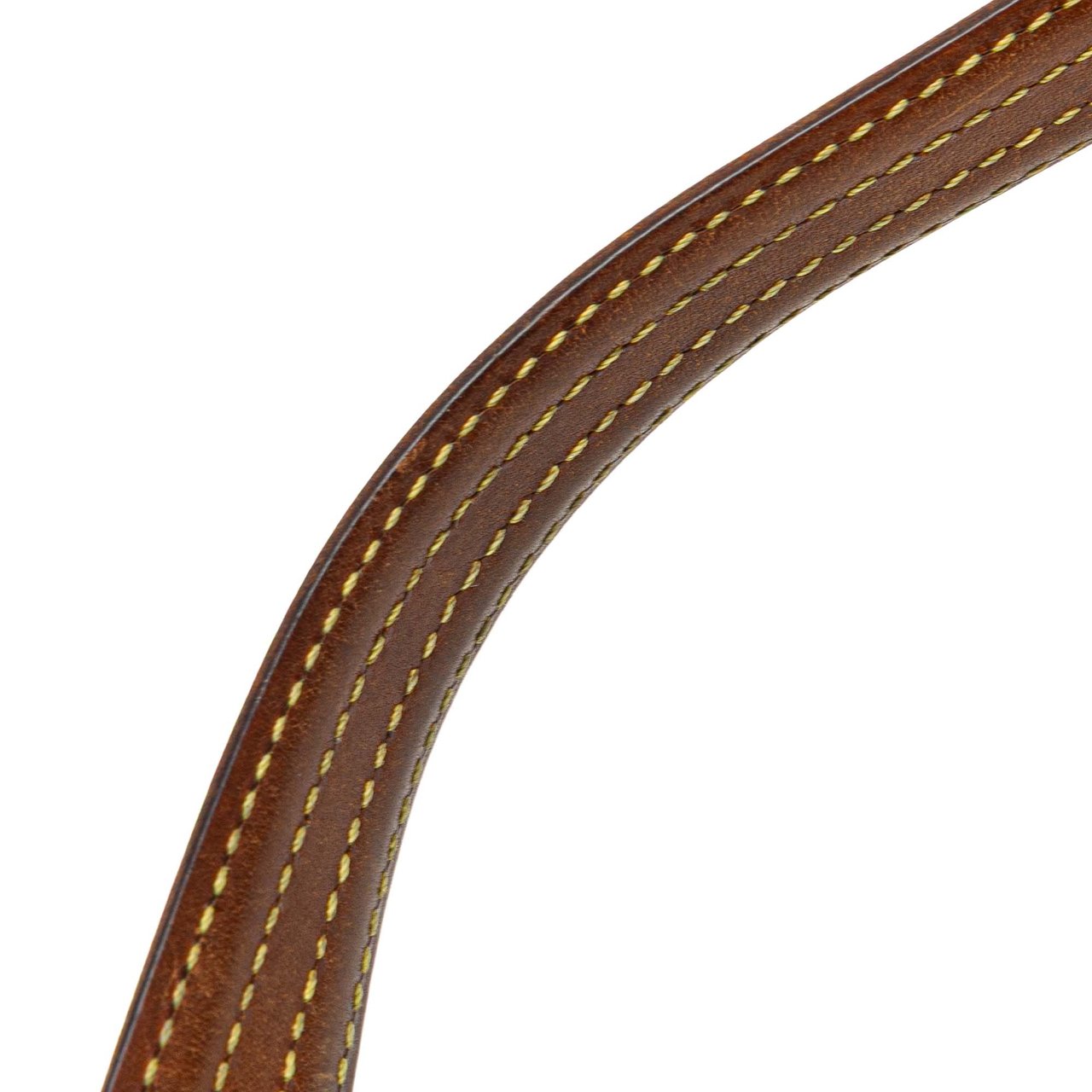 Louis Vuitton Monogram Viva Cite MM Bruin