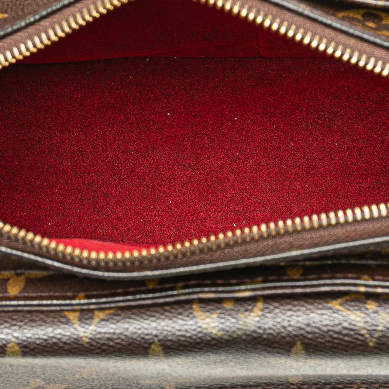 Louis Vuitton Monogram Viva Cite MM Bruin