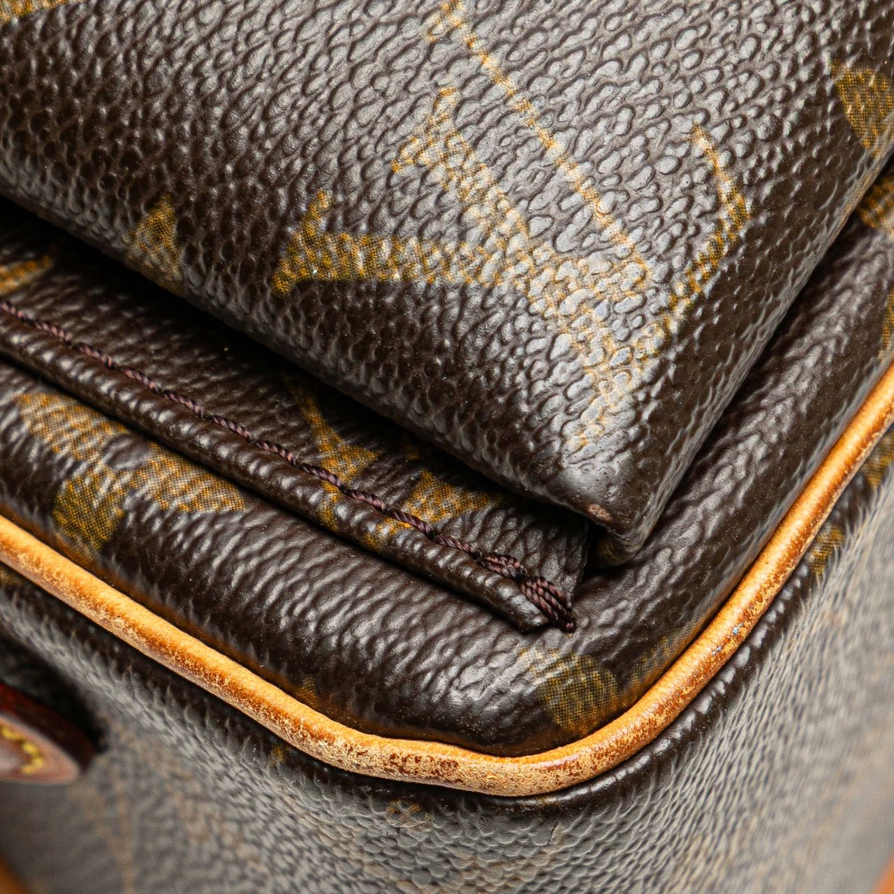 Louis Vuitton Monogram Viva Cite MM Bruin