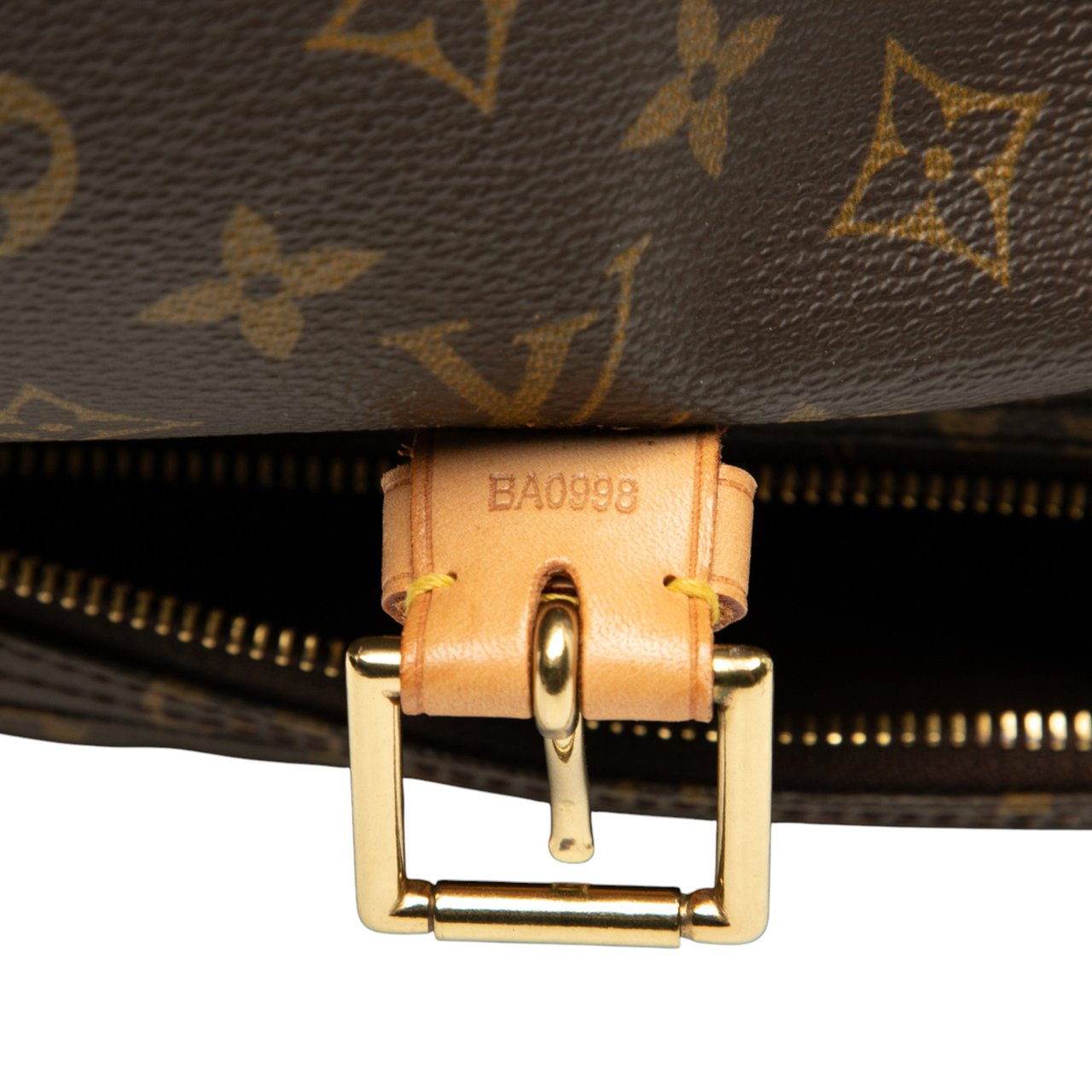 Louis Vuitton Monogram Montsouris GM Bruin