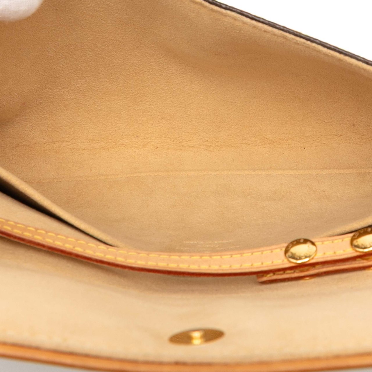 Louis Vuitton Monogram Pochette Twin GM Bruin