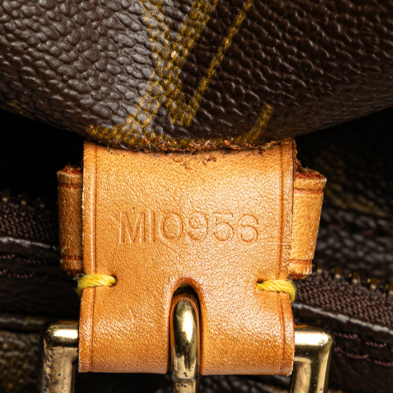 Louis Vuitton Monogram Montsouris GM Bruin