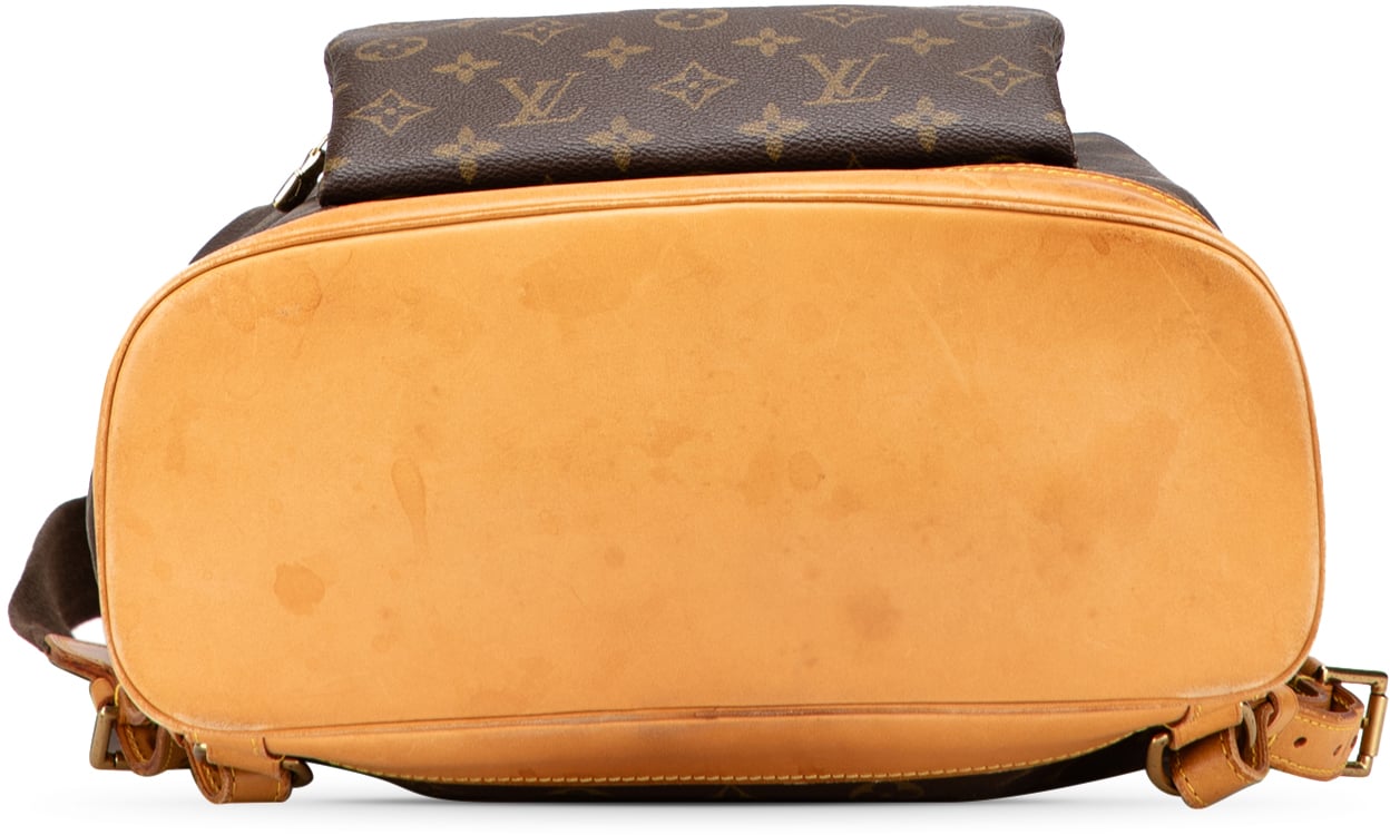 Louis Vuitton Monogram Montsouris GM Bruin