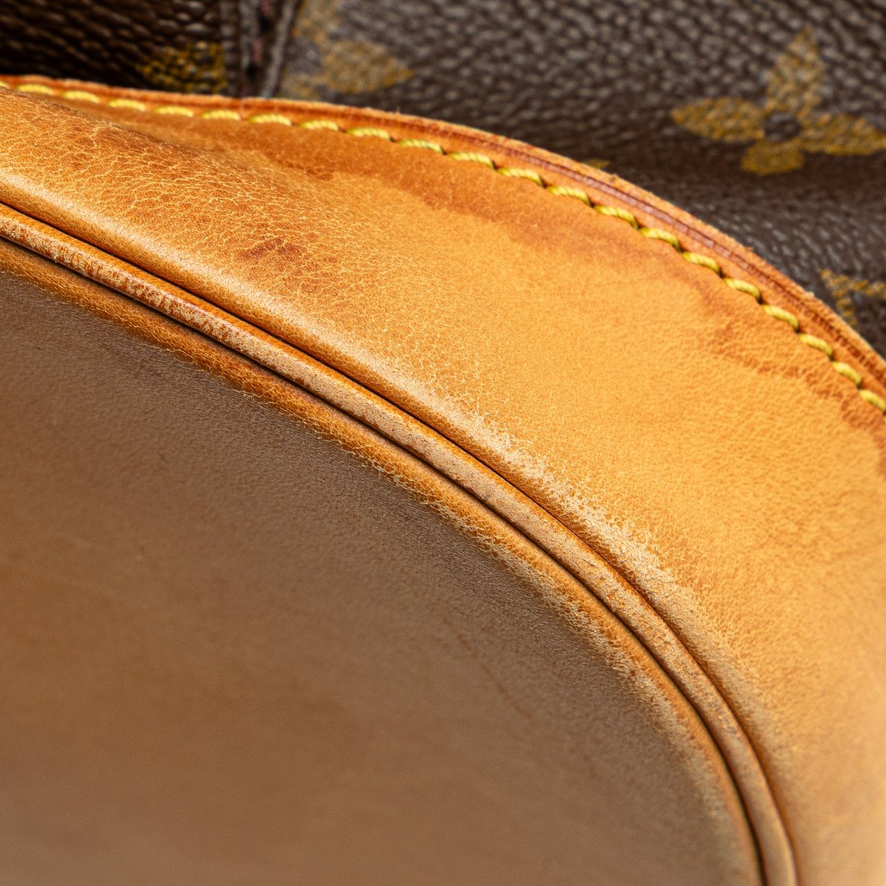 Louis Vuitton Monogram Montsouris GM Bruin