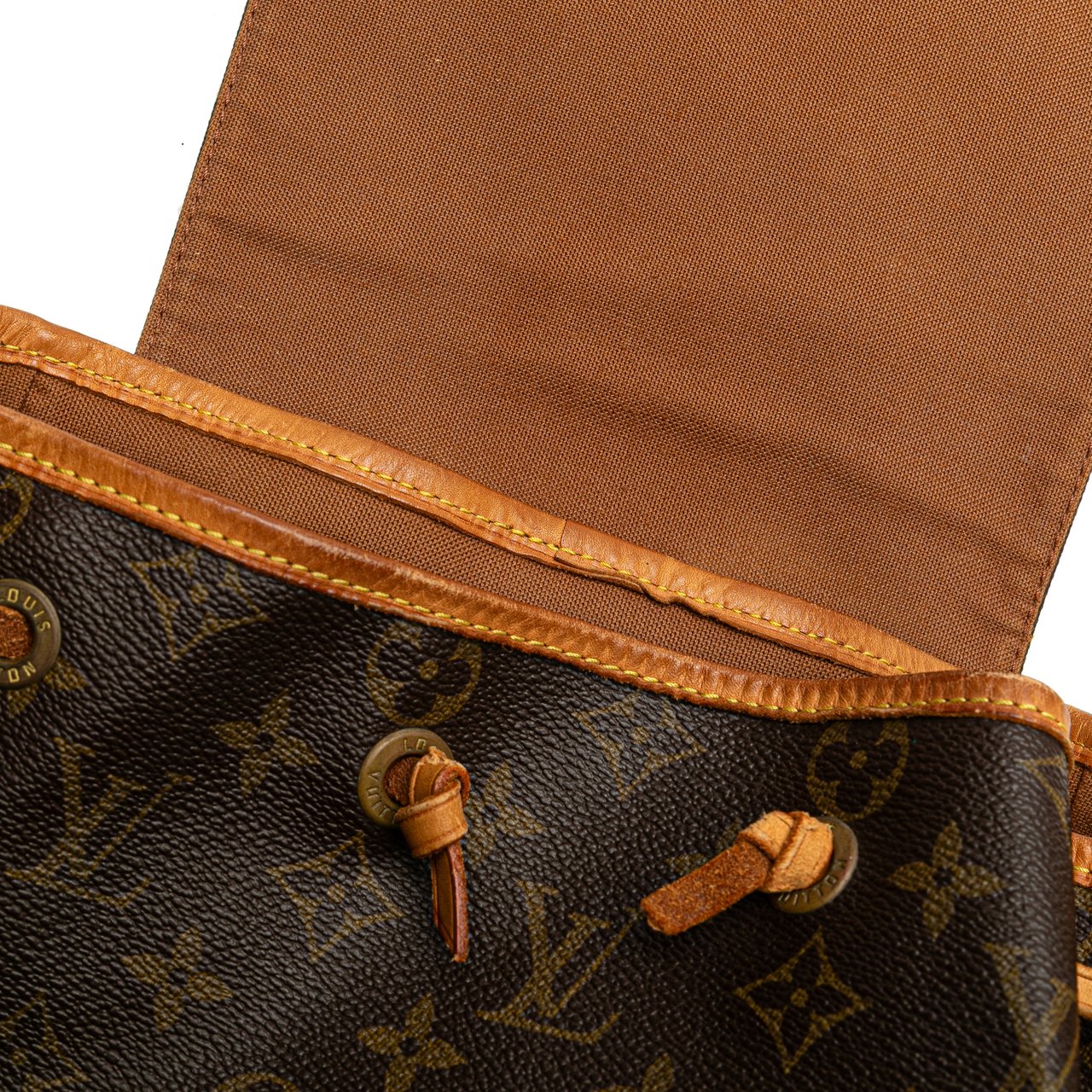 Louis Vuitton Monogram Montsouris GM Bruin