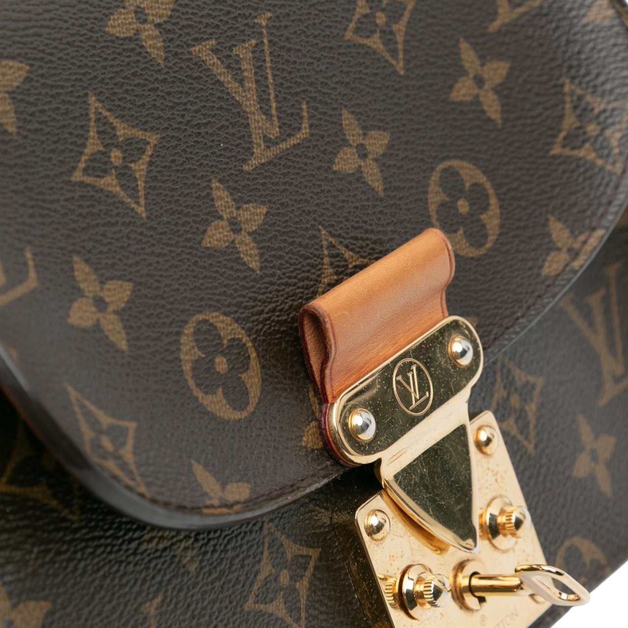 Louis Vuitton Monogram Eden PM Bruin