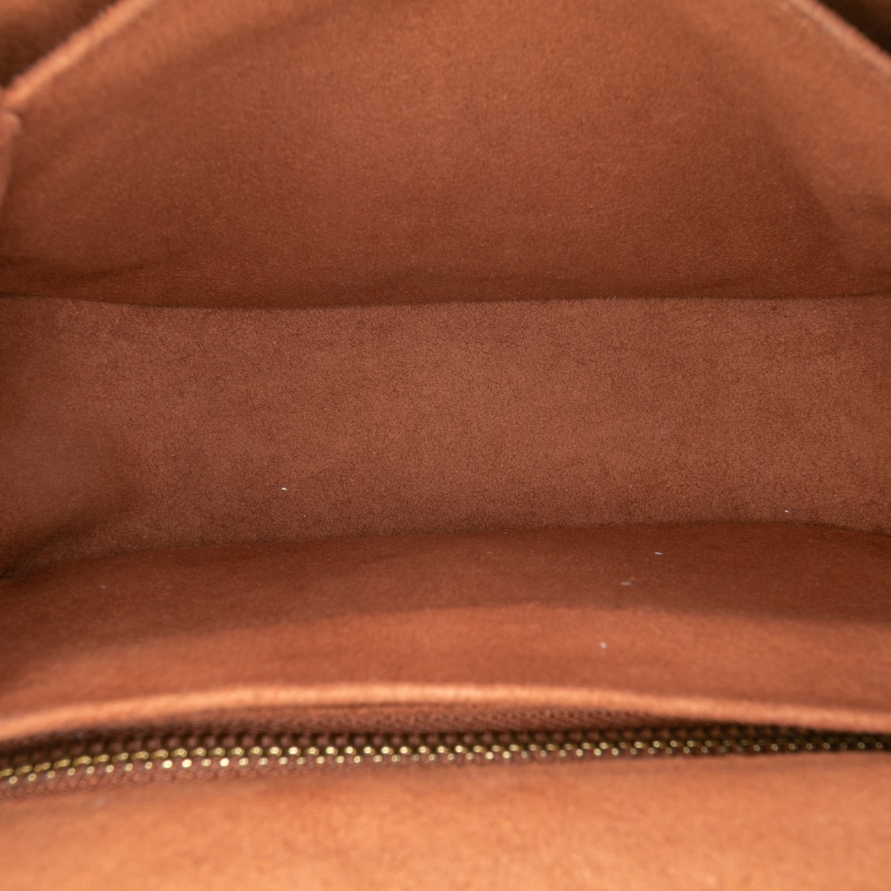 Louis Vuitton Monogram Eden PM Bruin