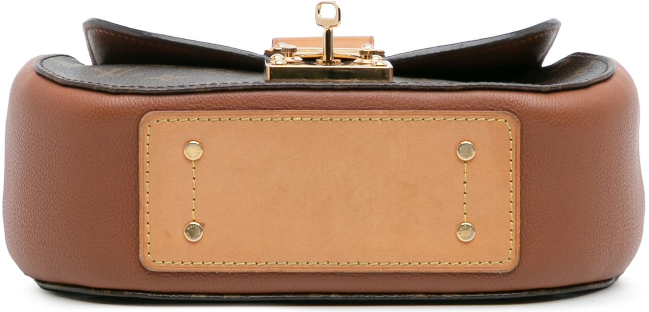 Louis Vuitton Monogram Eden PM Bruin