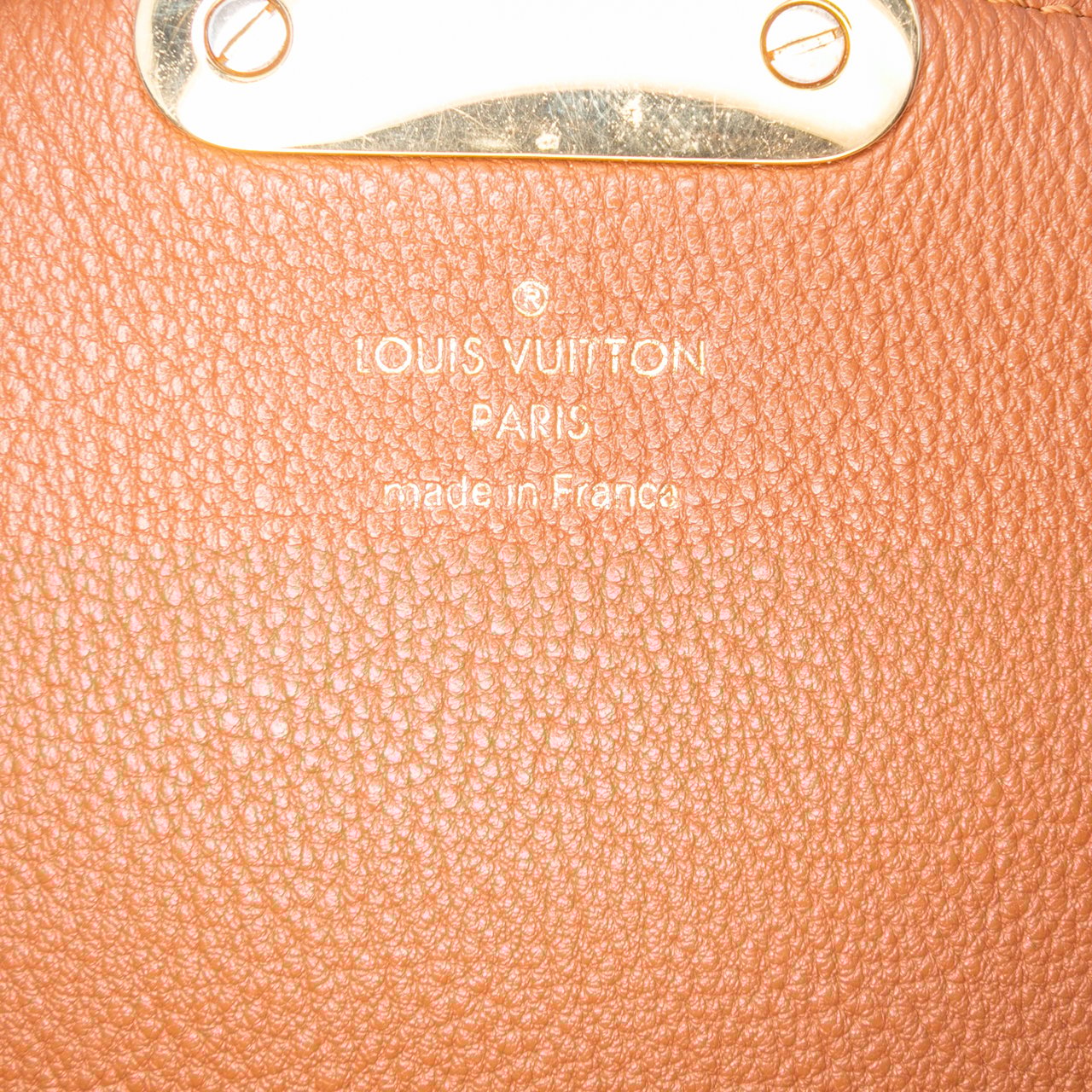 Louis Vuitton Monogram Eden PM Bruin