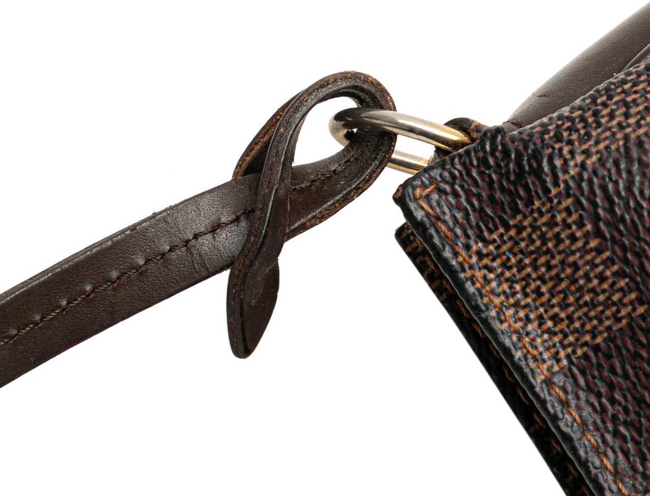 Louis Vuitton Damier Ebene Navona Bruin