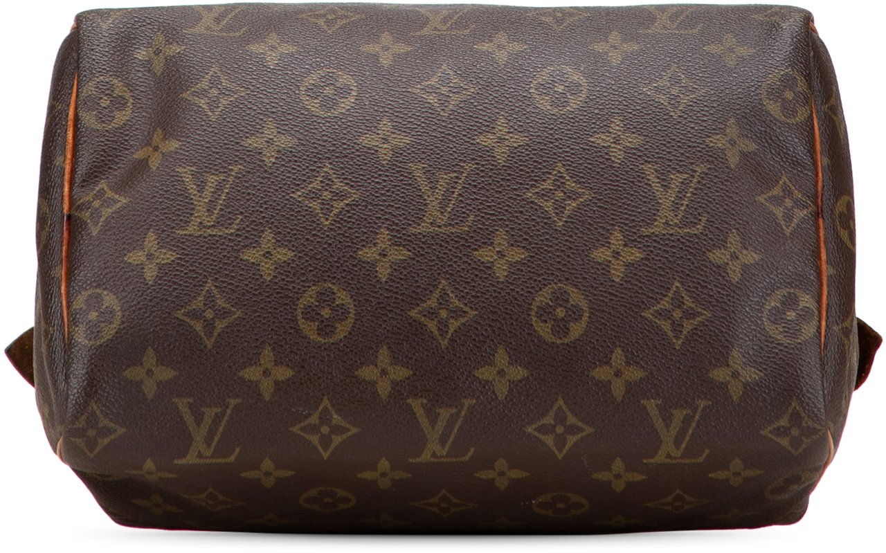 Louis Vuitton Monogram Speedy 25 Bruin