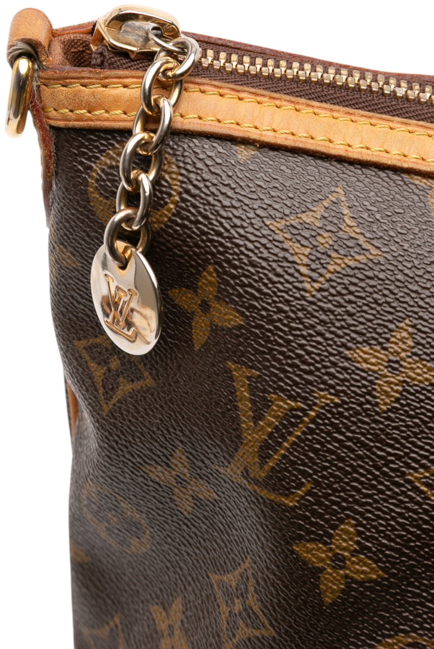 Louis Vuitton Monogram Palermo PM Bruin