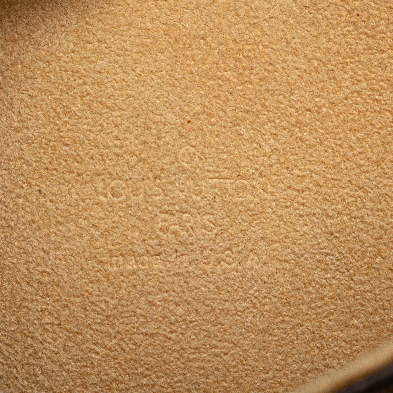 Louis Vuitton Monogram Pochette Twin PM Bruin
