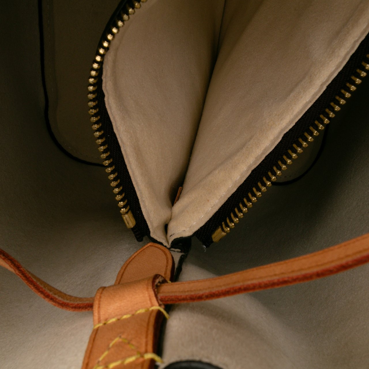 Louis Vuitton Monogram Summer Trunks Neonoe Bruin