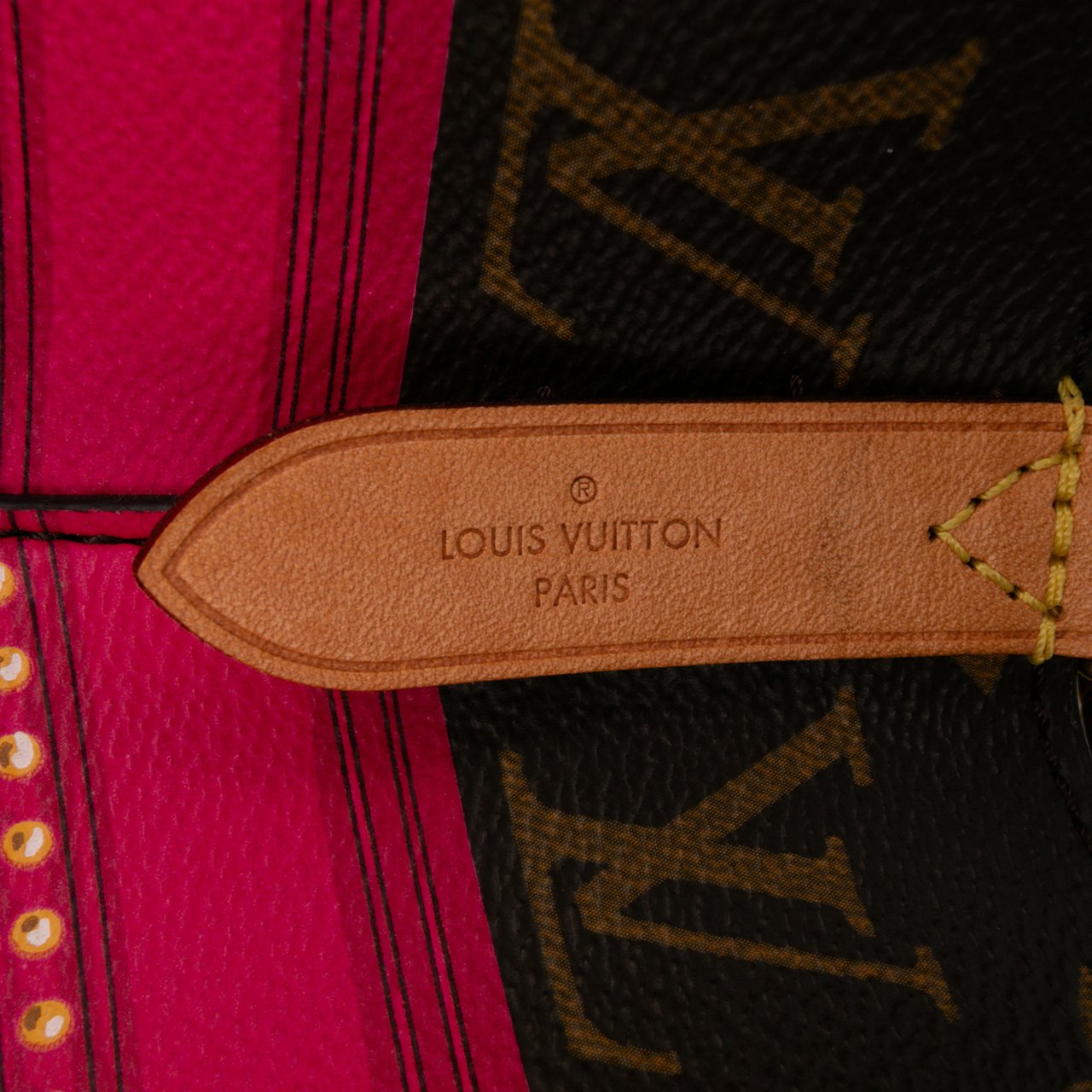 Louis Vuitton Monogram Summer Trunks Neonoe Bruin