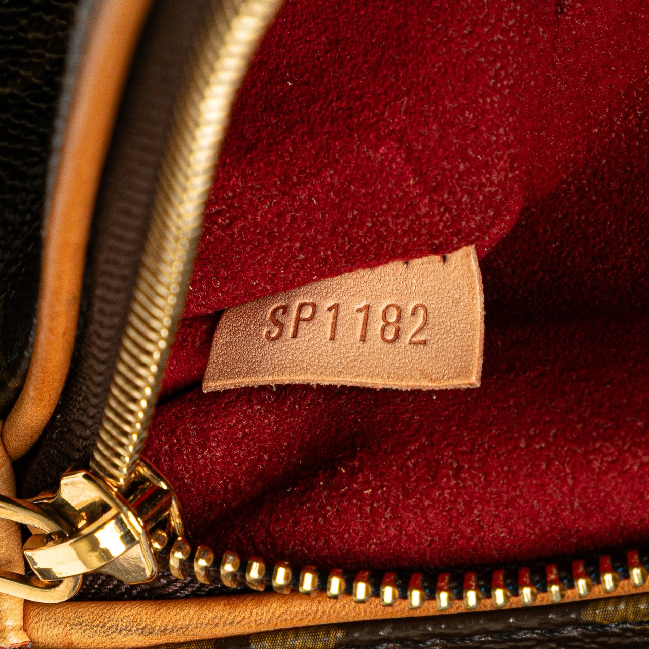Louis Vuitton Monogram Olympe MM Bruin