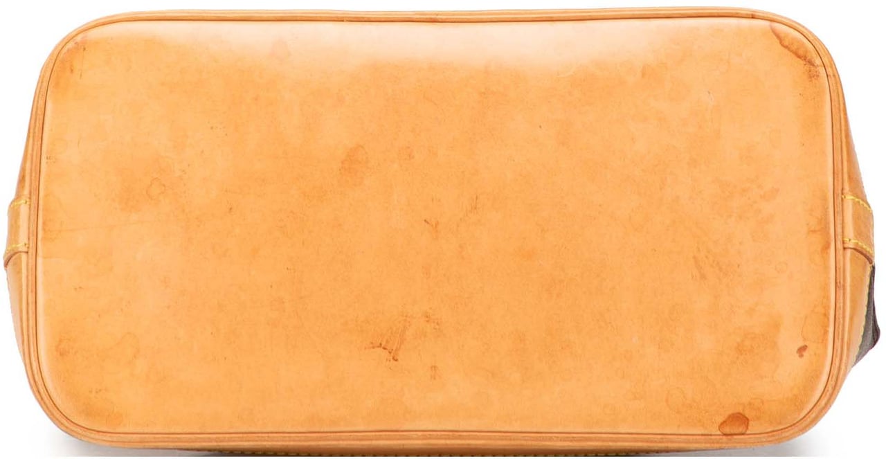 Louis Vuitton Monogram Alma PM Bruin