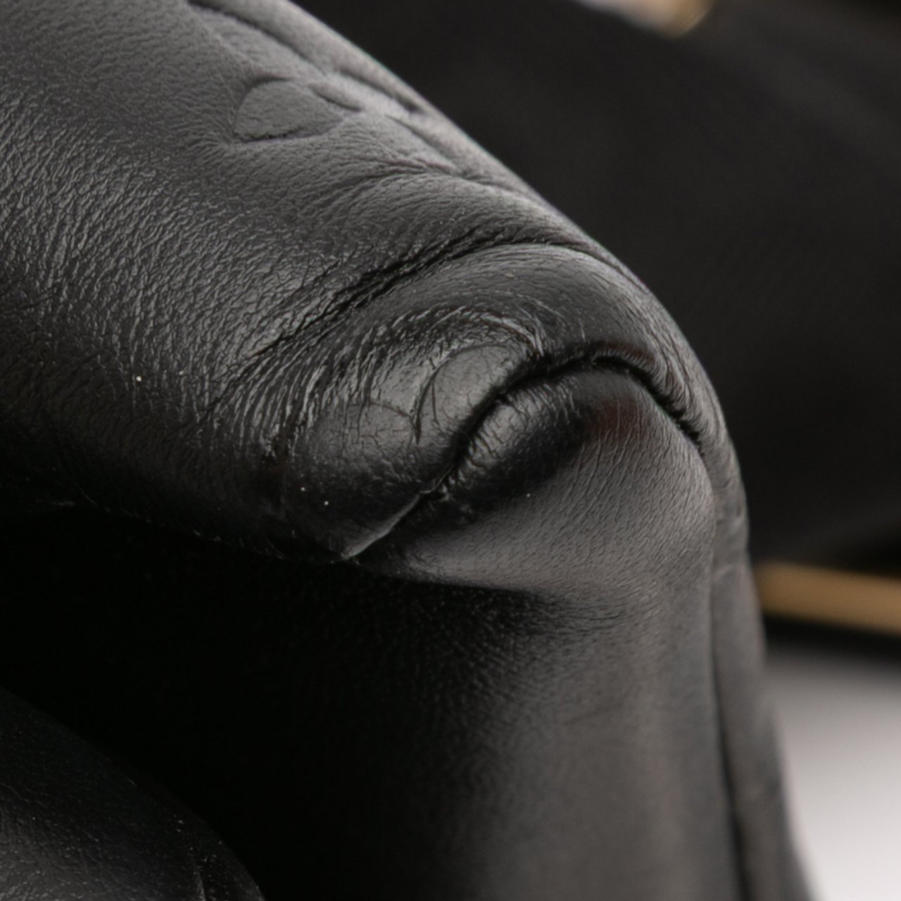 Louis Vuitton Monogram Embossed Puffy Lambskin Coussin PM Zwart