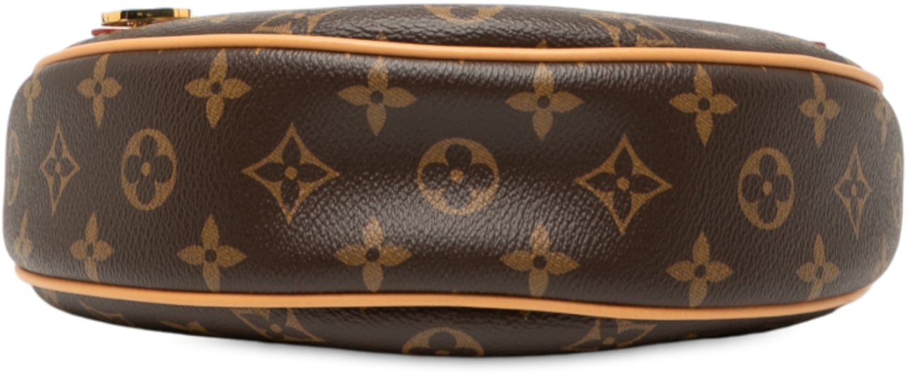 Louis Vuitton Monogram Loop Bruin
