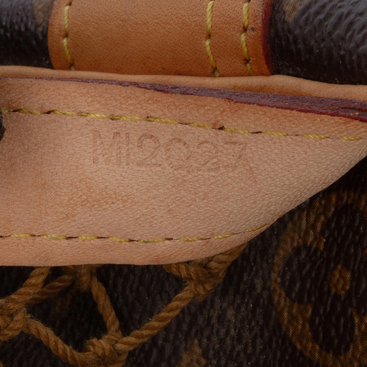 Louis Vuitton Monogram Congo PM Bruin