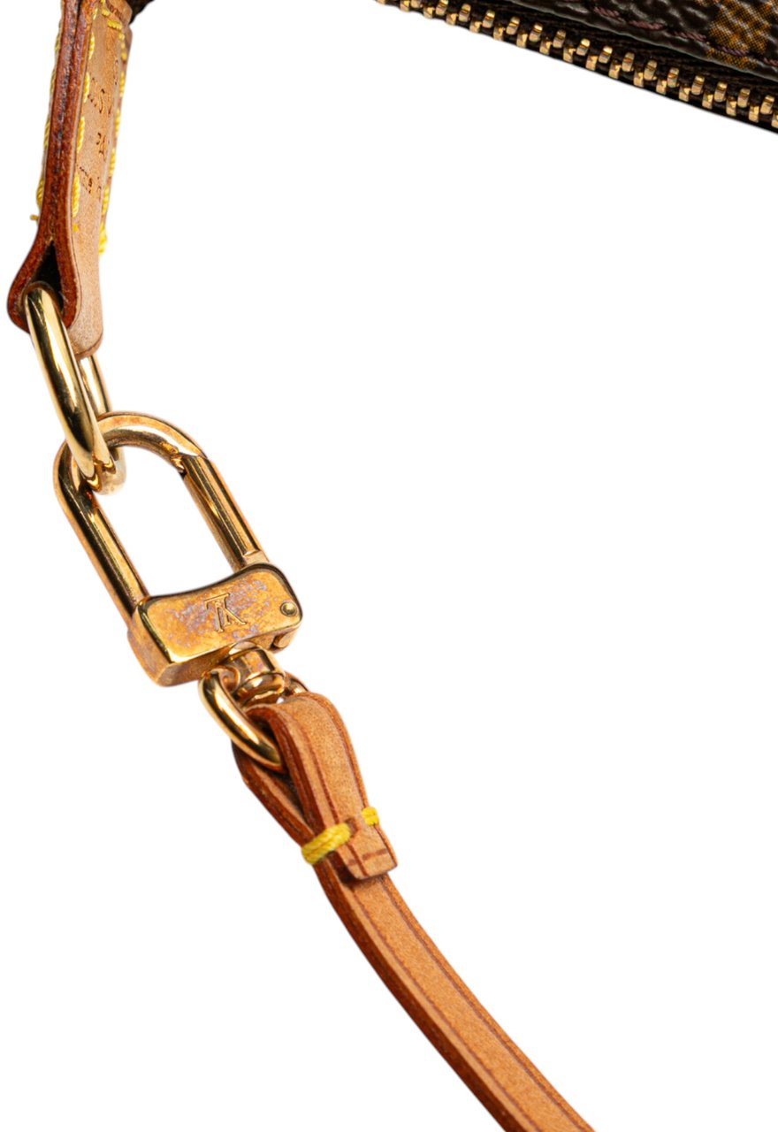 Louis Vuitton Monogram Pochette Accessoires Bruin