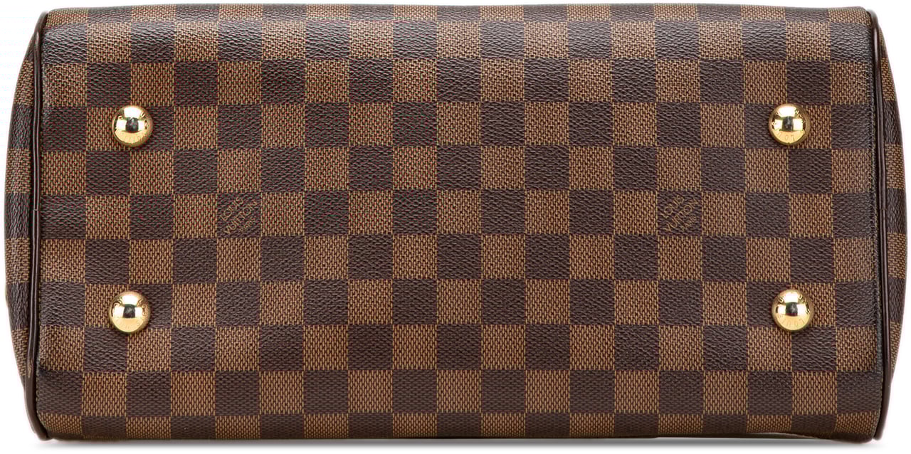 Louis Vuitton Damier Ebene Duomo Bruin