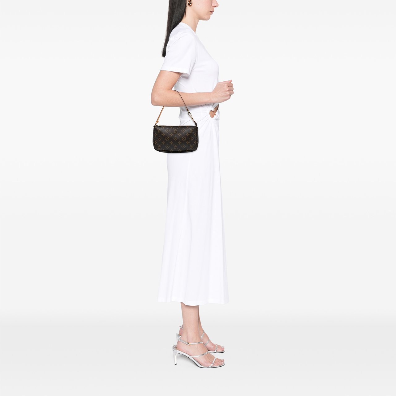 Louis Vuitton Monogram Pochette Accessoires Bruin