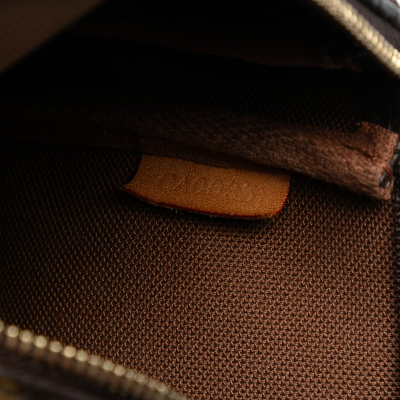 Louis Vuitton Monogram Pochette Accessoires Bruin